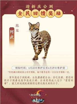 打进天龙八部私服